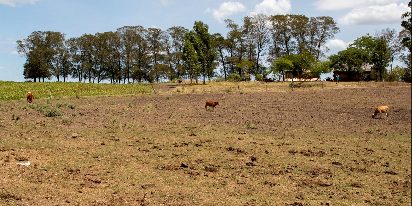 Cities in Rio Grande do Sul will receive another R$ 701,000 to combat drought