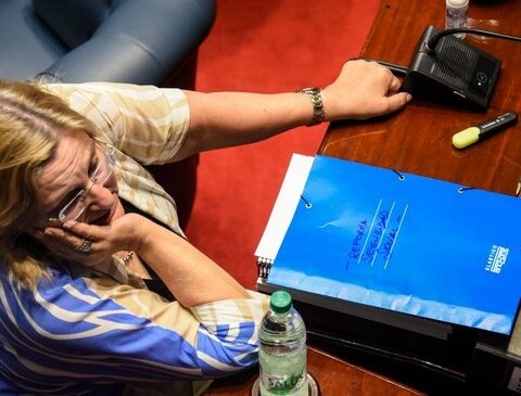 Coalition agreed to prioritize in commission the home prison project for people over 65