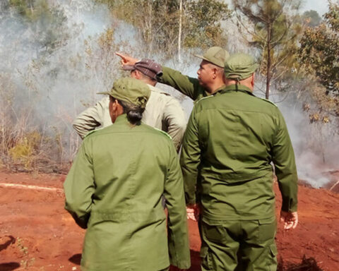 Controlled the forest fire in Holguín after burning 5,347 hectares of forest