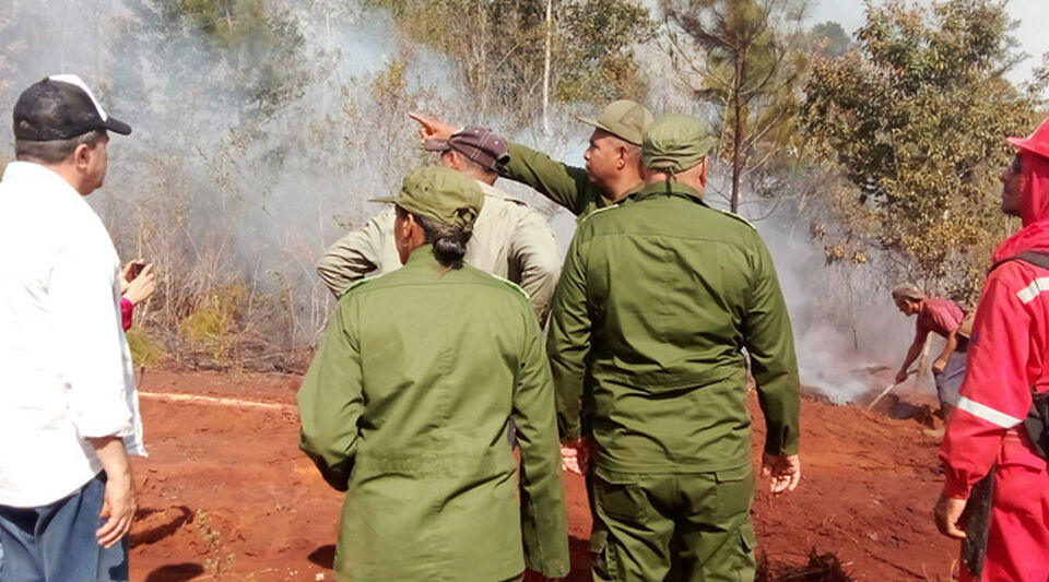 Controlled the forest fire in Holguín after burning 5,347 hectares of forest