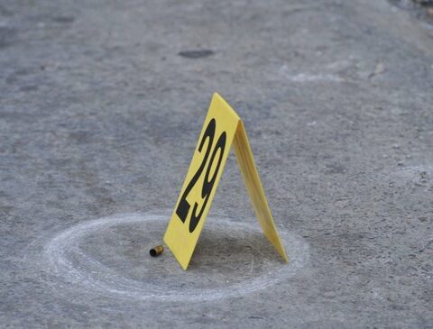 Couple sought to kidnap a young man by arranging an appointment with the woman and they ended up killing him