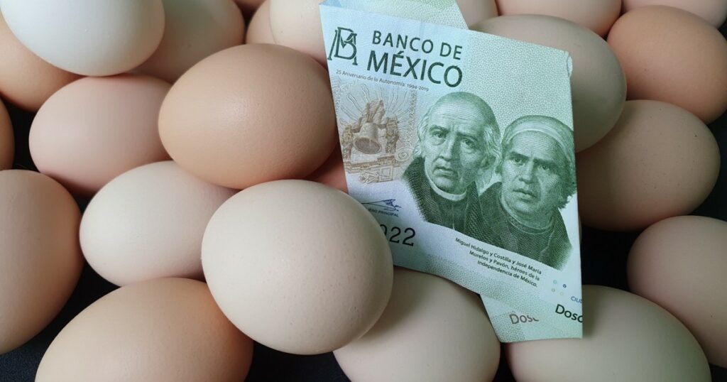 Crisis in Mexican kitchens: the price of eggs rises and pushes those of other products in the basic basket