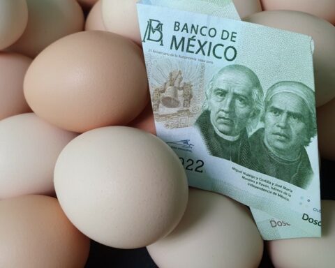 Crisis in Mexican kitchens: the price of eggs rises and pushes those of other products in the basic basket