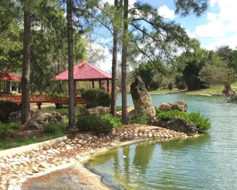 Jardín Botánico Nacional de Cuba