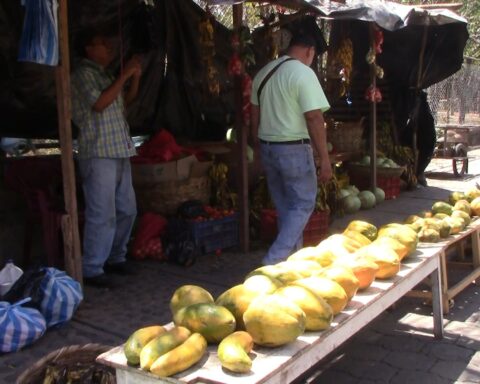 Demand for summer fruits increases in Somoto and Estelí markets