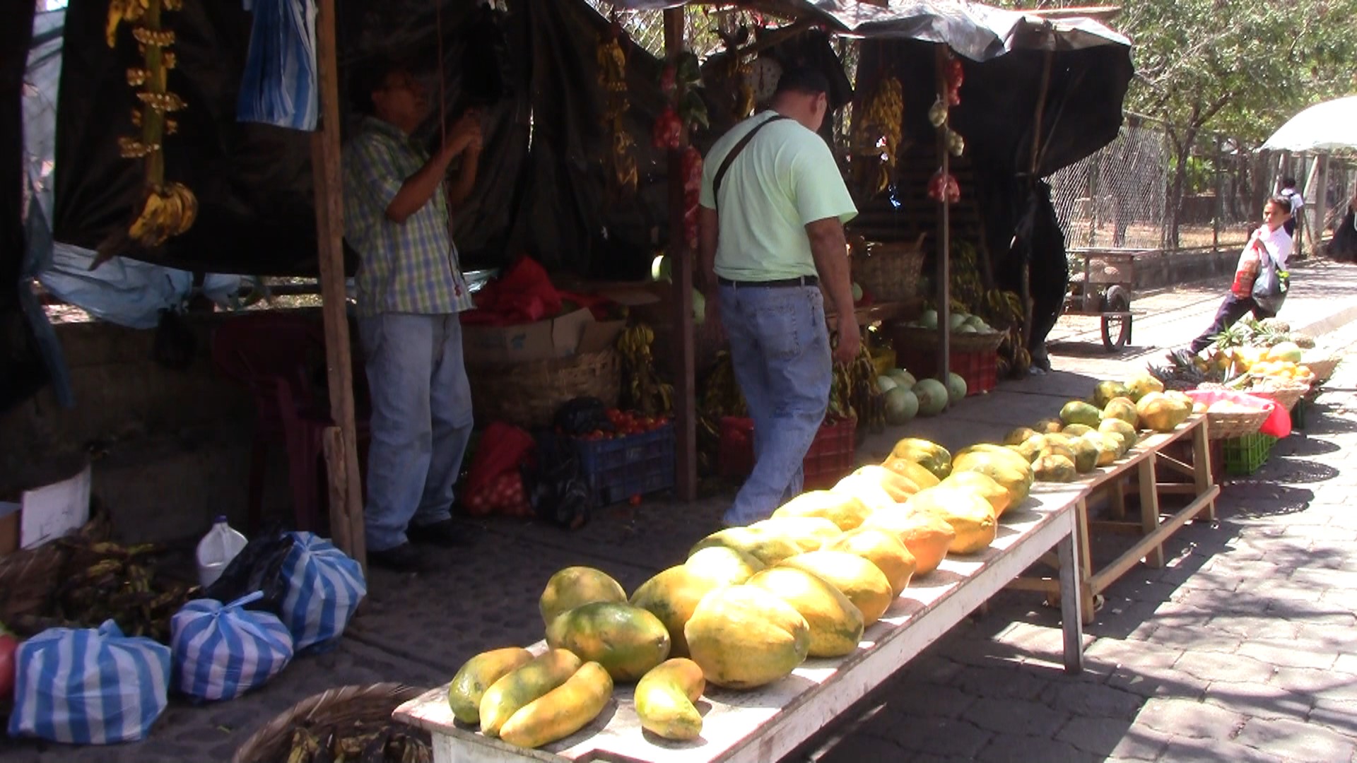 Demand for summer fruits increases in Somoto and Estelí markets