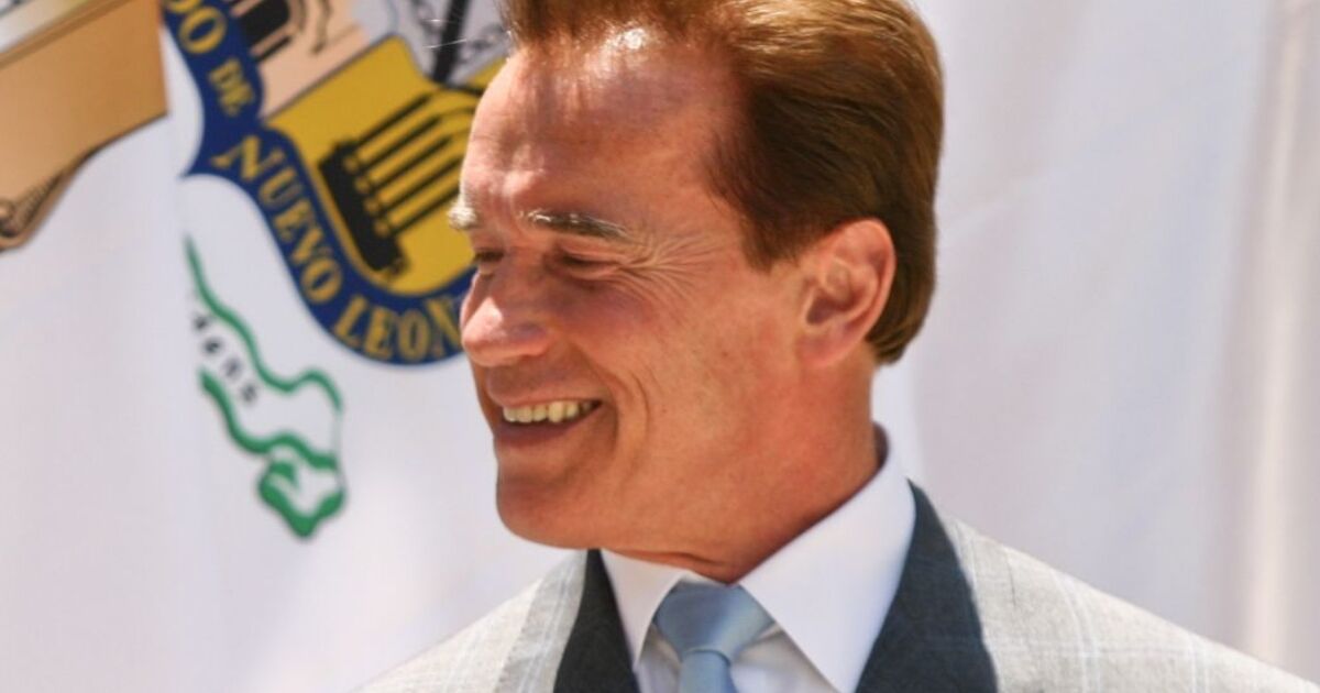 "Democracy is not a spectator sport," says Arnold Schwarzenegger