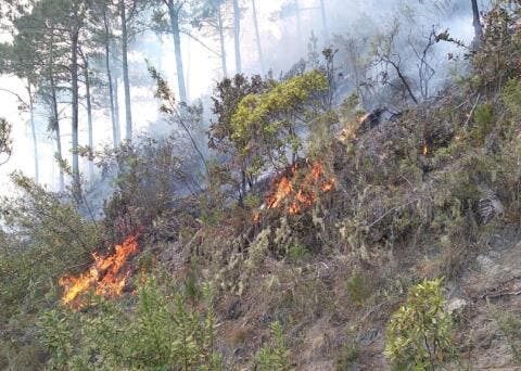 Drought is a transitory climatological anomaly in which the availability of water is below what is usual for a geographical area, in this case DR