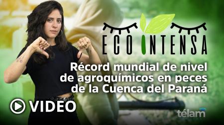 Ecointensa: World record of agrochemicals in fish from the Paraná Basin