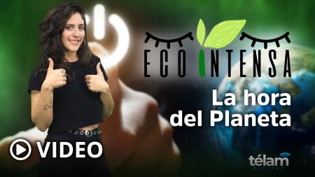 Ecointense: Earth Hour