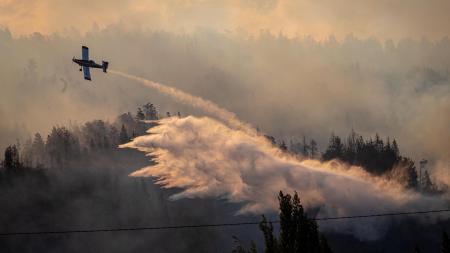 El Bolsón: a detainee after a forest fire whose advance managed to be stopped