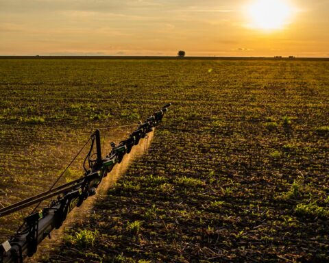 Embrapa promotes guidelines on the efficient use of fertilizers