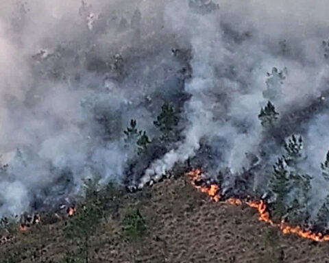 Environment says it put out the fire in Valle Nuevo