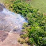 FAN “disabled” a new plane linked to drug trafficking in Apure