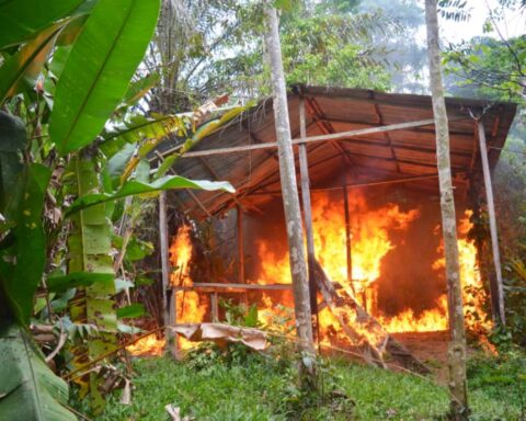 FANB destroys Tancol camp with drugs and chemicals in Zulia