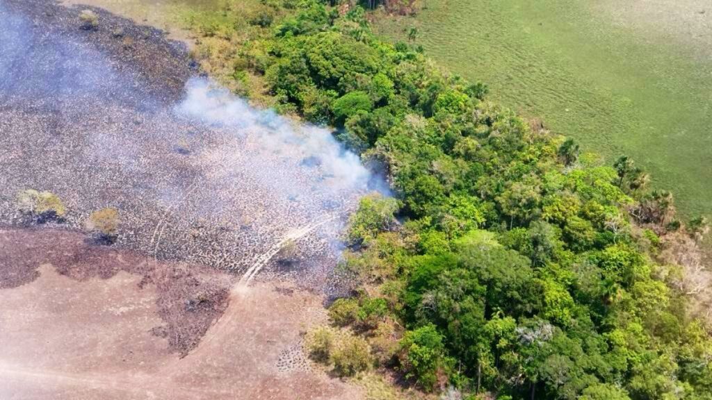 FANB disabled aircraft number 11 associated with drug trafficking in Apure