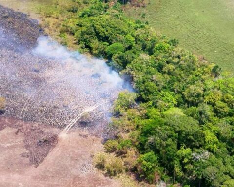 FANB disabled aircraft number 11 associated with drug trafficking in Apure