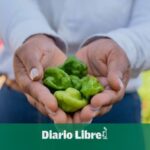 Family farming, a way to integrate communities