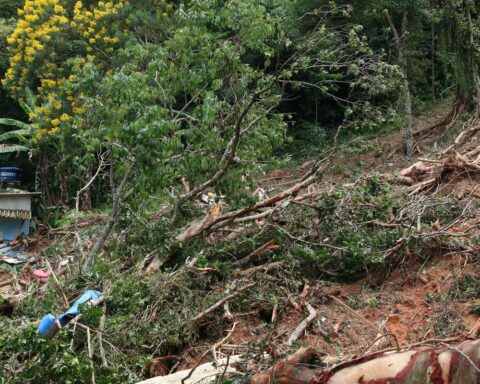 For experts, sirens are insufficient to prevent disasters