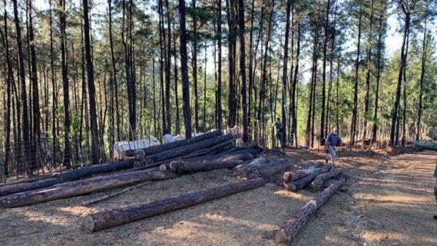 De Valle Nuevo a Loma Novillero: abundan crímenes ecológicos en RD