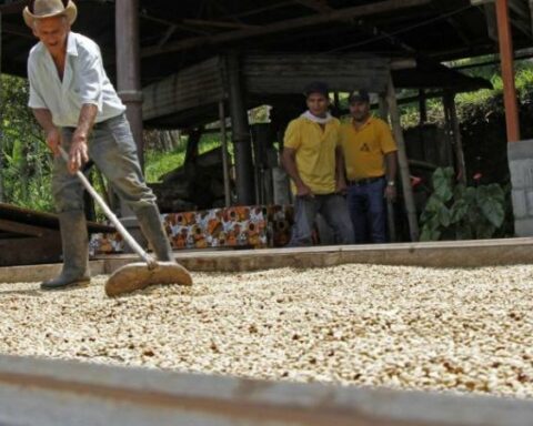 Government asked for more candidates for management of the Federation of Coffee Growers