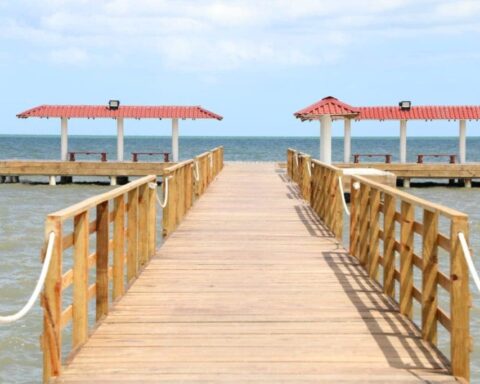 WhatsApp Image 2023 03 10 at 6.23.12 PM