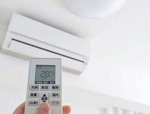 Heat wave: what happened to the consumption of electrical energy?