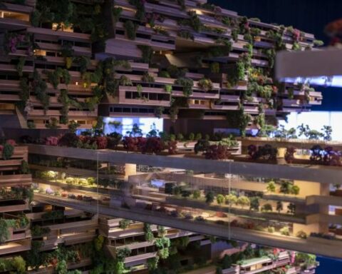 How is the construction of the futuristic megacity in Arabia going?