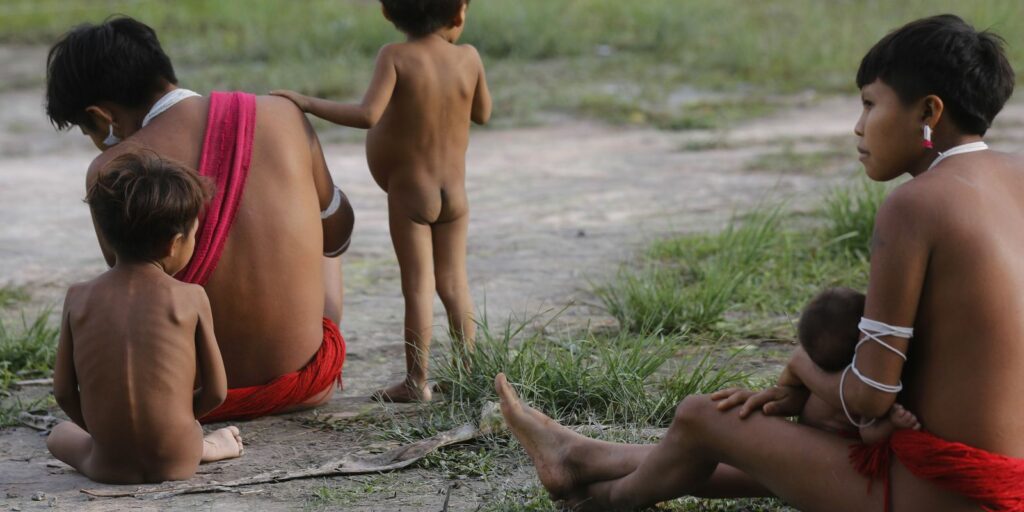 IBGE starts last stage of 2022 Census in Yanomami Indigenous Land