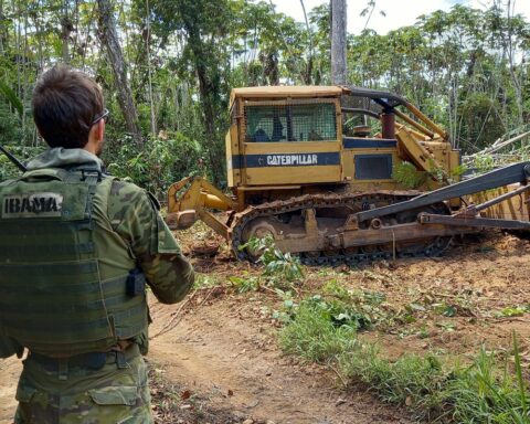 Ibama and PRF dismantle more than 190 camps in the Yanomami TI