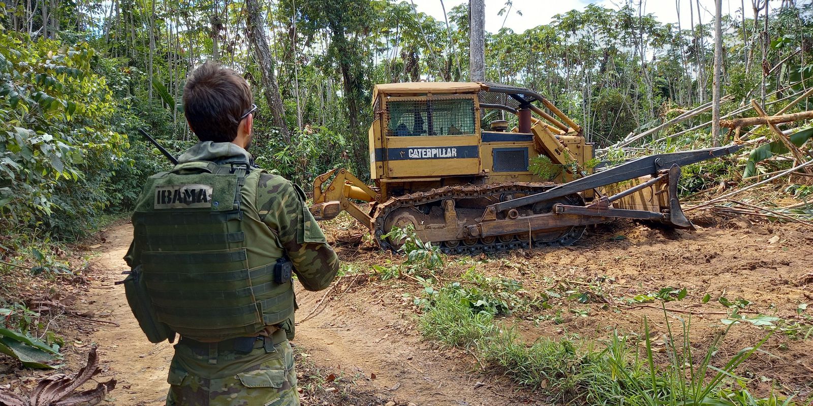 Ibama and PRF dismantle more than 190 camps in the Yanomami TI
