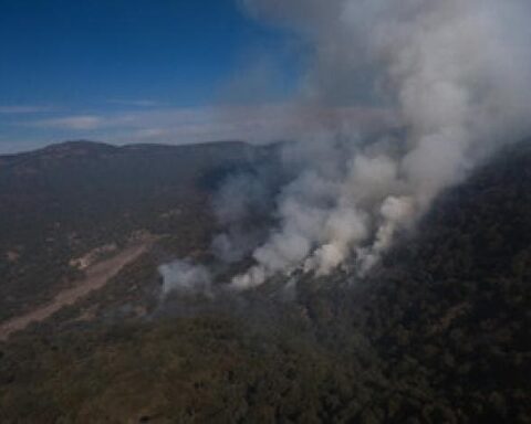 En febrero se reportaron 90 conatos de incendios forestales