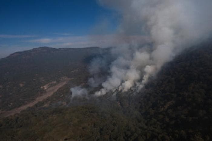 En febrero se reportaron 90 conatos de incendios forestales