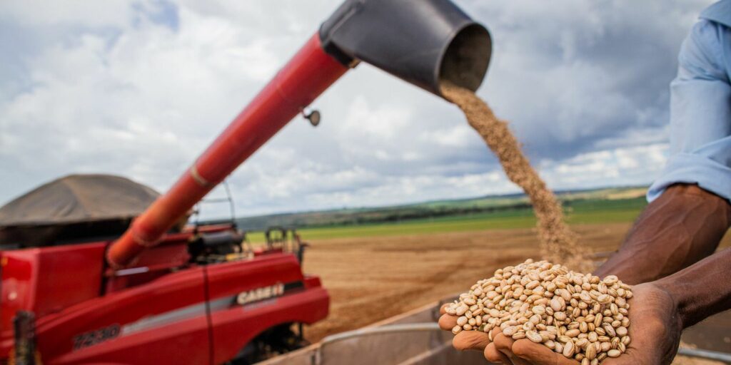 Increased temperature will affect bean production in Brazil