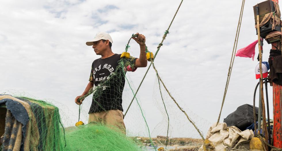 Learn about the new projects to reinforce the protection of the Peruvian sea