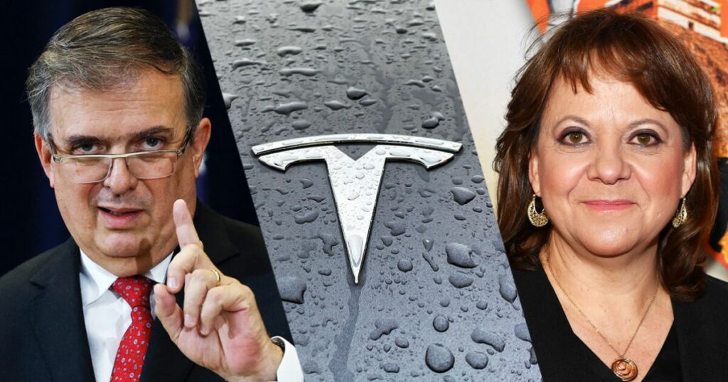 Martha Delgado: "Tesla's arrival was a tough bargain"