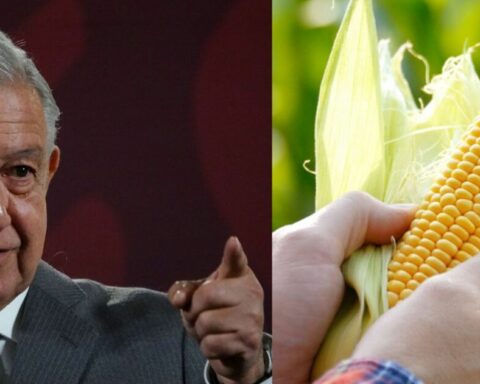 Mexico will seek to go to a panel if there is no agreement with the US on transgenic corn