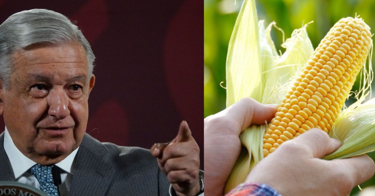 Mexico will seek to go to a panel if there is no agreement with the US on transgenic corn