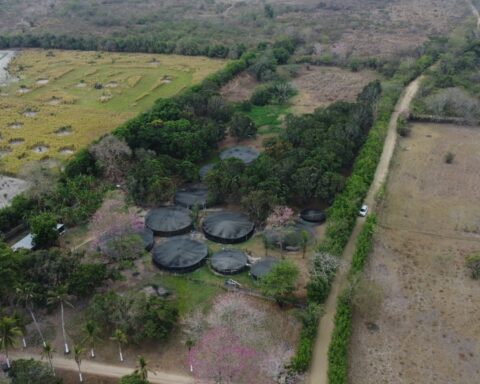 Millionaire energy fraud discovered on the farm of renowned vallenato singer