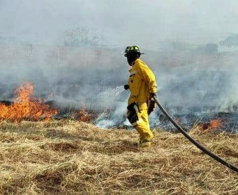 Monagas firefighters controlled forest fire in Maturín