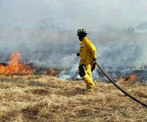 Monagas firefighters controlled forest fire in Maturín