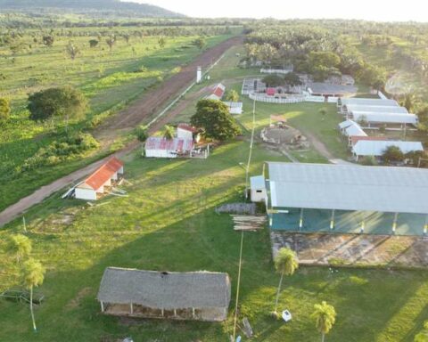 More than 100 municipalities in the country confirm participation in the second version of the Municipal Government Fair