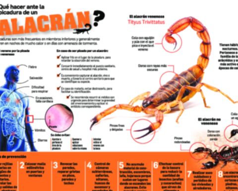 More than 170 people suffered scorpion stings in six years