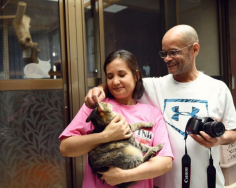 'Nekonomics': the power of cats in the Japanese economy