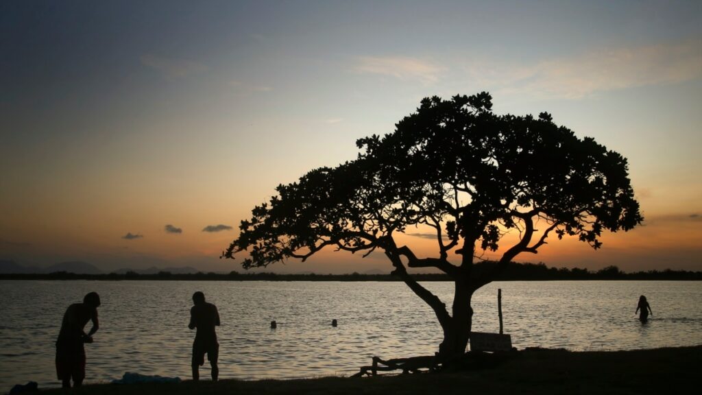 Nicaragua: They denounce the death of 5 indigenous people and houses burned