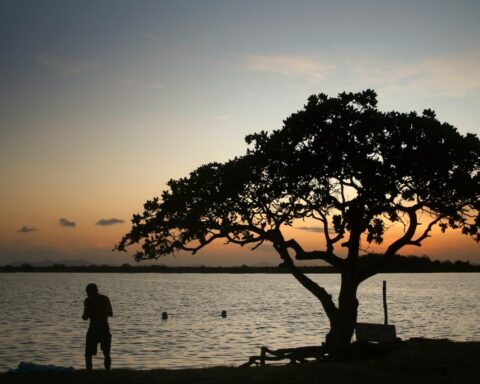 Nicaragua: They denounce the death of 5 indigenous people and houses burned