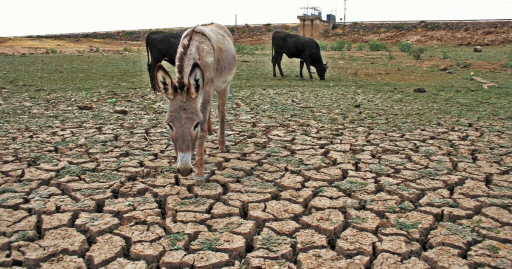 Northern states would have the greatest impact from drought