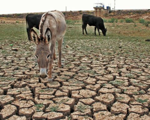 Northern states would have the greatest impact from drought