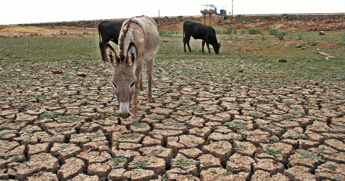 Northern states would have the greatest impact from drought