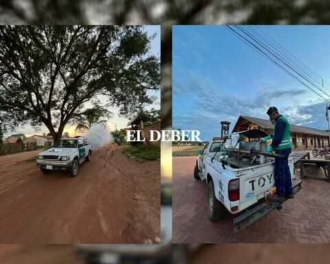 One deceased and 1,081 suspected cases of dengue are registered in the Ñuflo de Chávez province